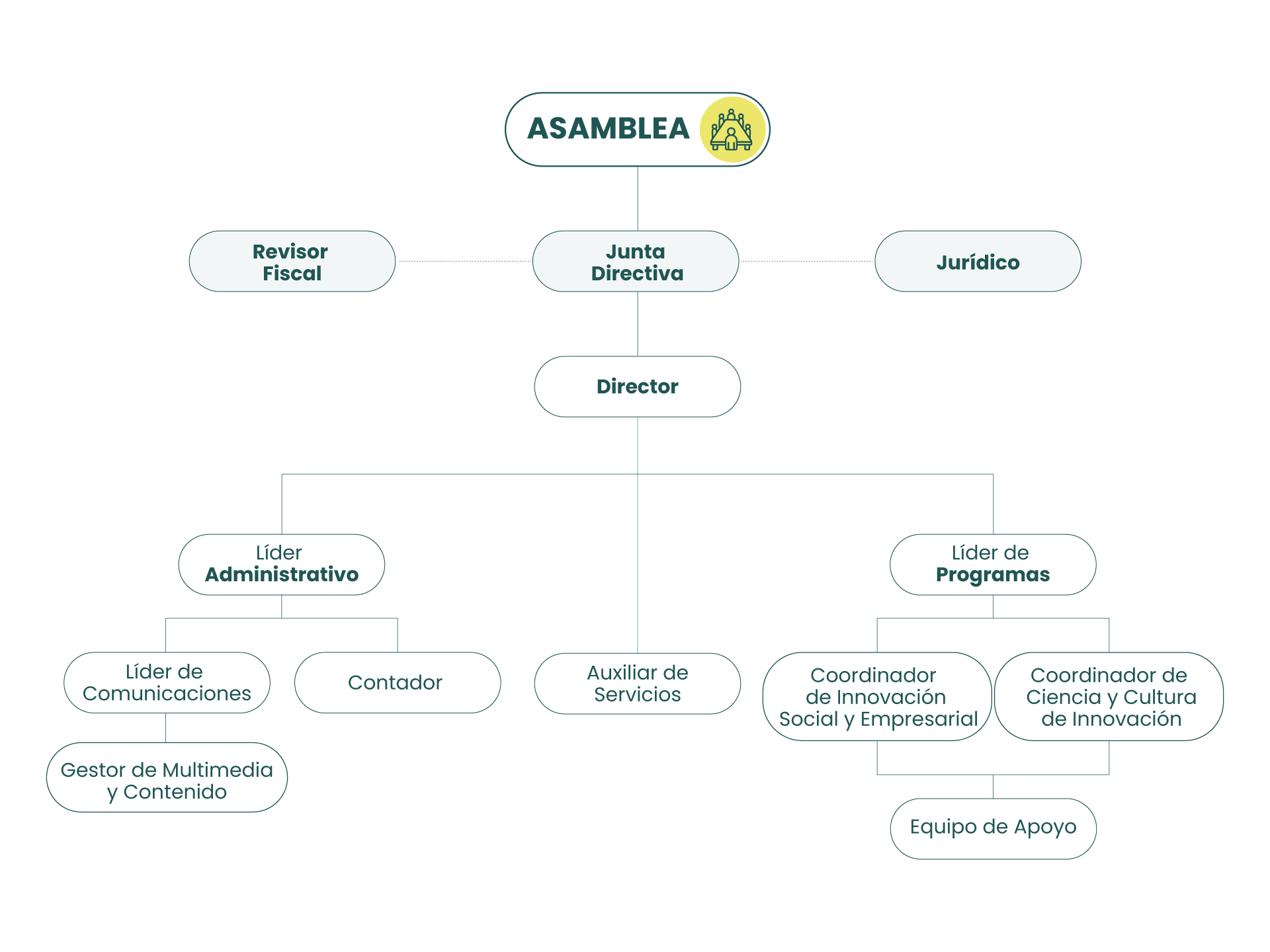 Organigrama Fundación Con-Ciencia